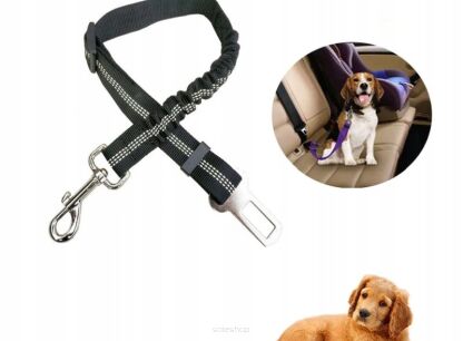 Transportery, torby podróżne