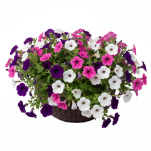 DONICZKA NA KWIATY ZIOŁA NA ŚCIANĘ NA PŁOT DONICA OGRODOWA RATTAN WISZĄCA BRĄZOWA - 2